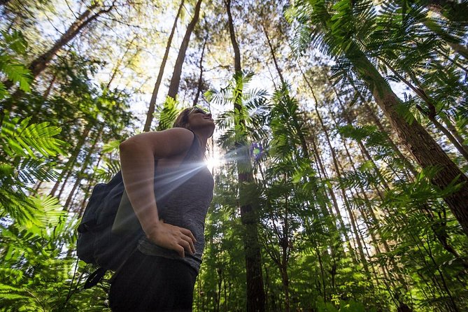 Mount Batur Sunrise Hike with Breakfast - The summit walk and return to the base