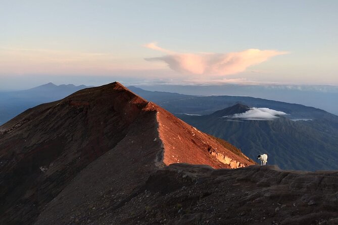 Mount Batur Sunrise Trekking, Hot Springs & Lunch at Restaurant - Buffet lunch at Batur Sari with a view