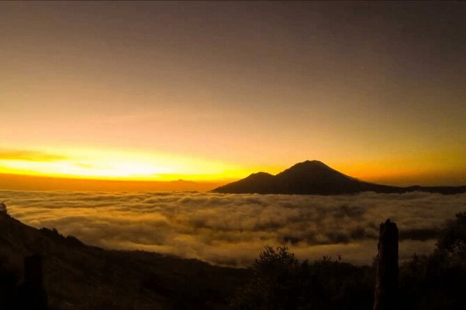 Mount Batur Sunrise Trekking Sharing Group - Kintamani and the coffee plantation stop
