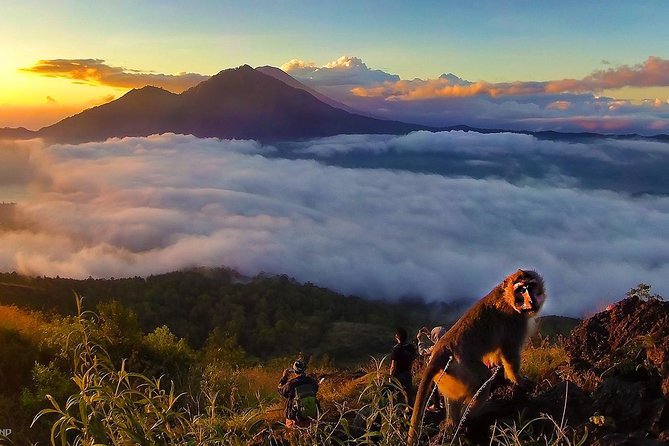 Mount Batur Sunrise Trekking With Breakfas - What the $59.94 price really covers