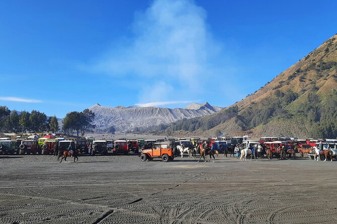Mount Bromo Private Sunrise Tour (1 Day) - From Surabaya - Who should book this experience?