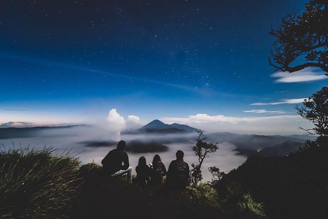 Mount Bromo Sunrise Tour from Surabaya or Malang - 1 Day - Who should book this Bromo tour?