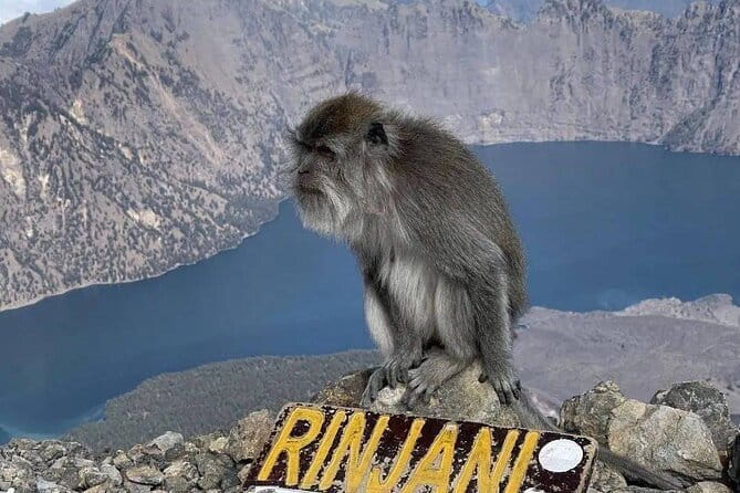 Mount Rinjani 2D 1N trekking to summit - What the $160 price really covers