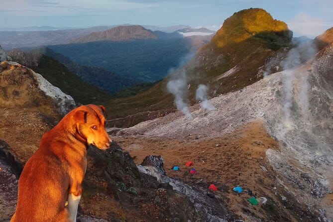 Mount Sibayak Sunrise Hike from Medan - Small details that improve the day