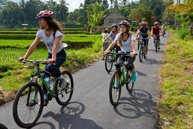 Mountain Cycling Tour - The early transfer from Nusa Dua and the southern coast