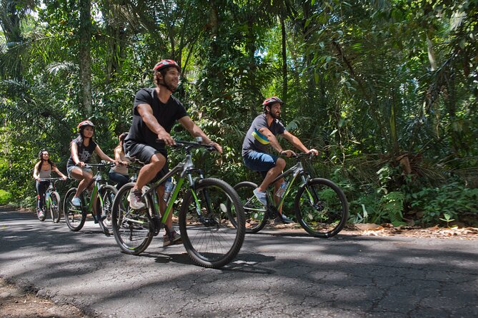 Mountain Cycling Tour - The two-hour ride through fields and villages