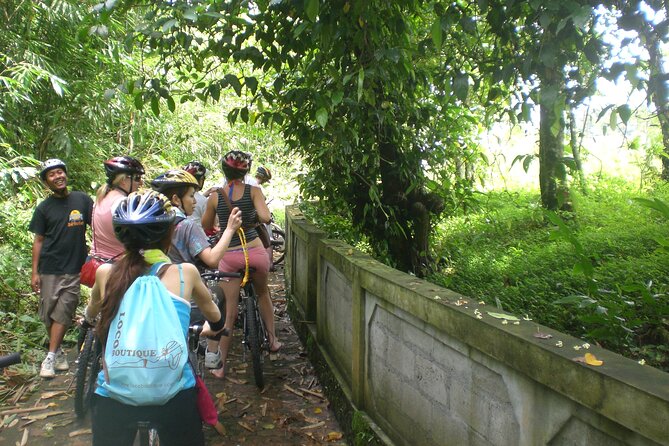 Mountain Cycling Tour - Is $57 good value?