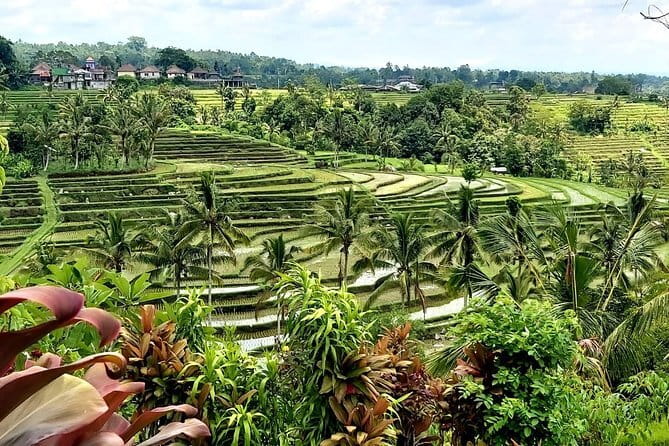 Munduk Highlights: Stunning North Bali Waterfalls & Temple - What the $40 price really covers