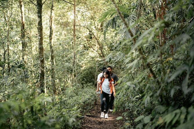Munduk Twin Lake Jungle Hike, Ulun Danu Temple, & Waterfall - What This Munduk Tour Really Covers