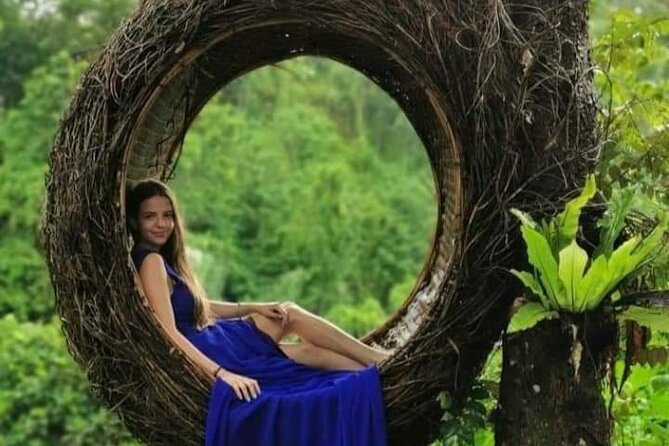 natural holy waterfalls healing tour. - Lunch Above the Tegalalang Rice Terraces
