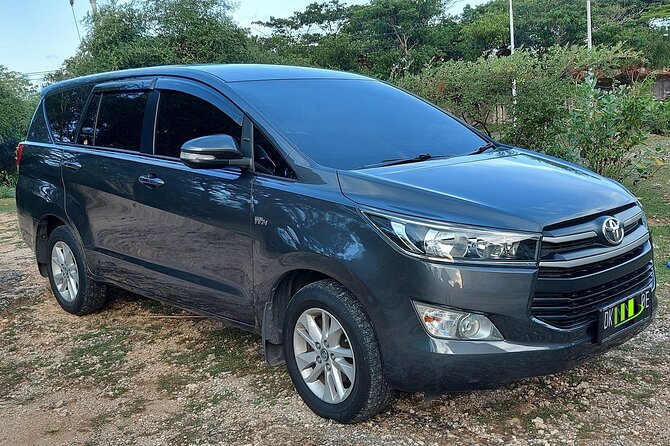 Ngurah Rai International Airport Private Arrival Transfer - Meeting your driver inside Ngurah Rai Airport
