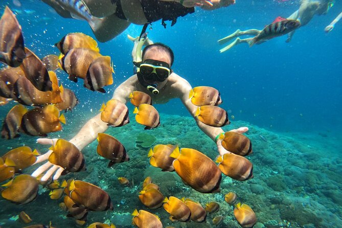 No:#1. Penida Island Tour And Snorkeling With Manta - Looking for manta rays around Manta Bay