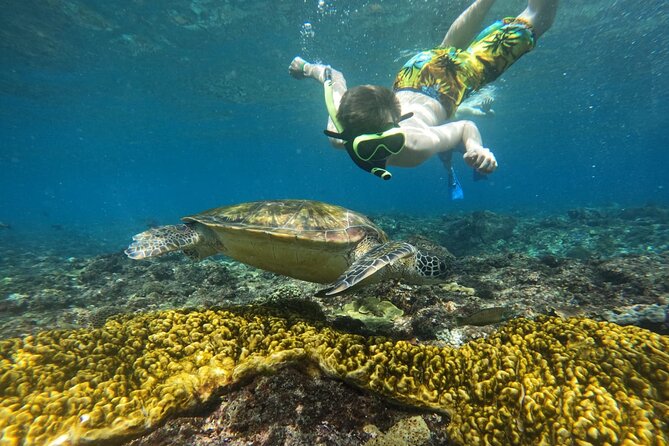 No:#1. Penida Island Tour And Snorkeling With Manta - What you receive in the water