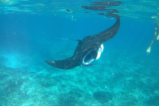 No:#1. Penida Island Tour And Snorkeling With Manta - Lunch and the long return to Bali