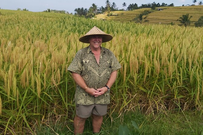 North Bali Private Tour - All Inclusive - Twin Lake View Above Buyan and Tamblingan
