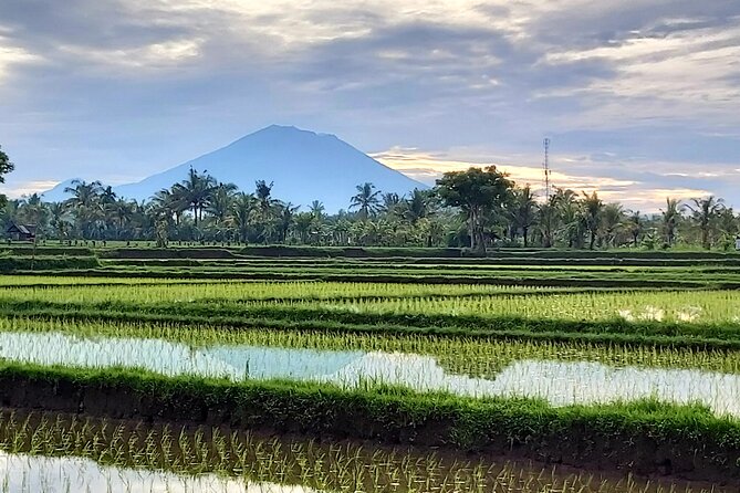 North Bali Private Tour - All Inclusive - Jatiluwih Rice Terraces at the Foot of Mount Batukaru