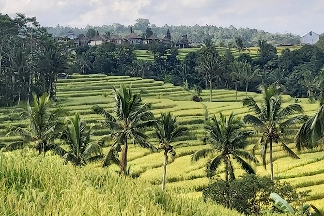 North Bali Private Tour - All Inclusive - Your Driver-Guide Shapes the Experience