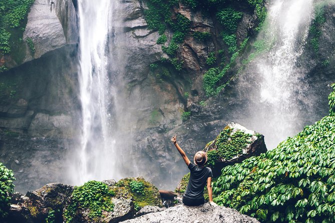 North Bali: Sekumpul Waterfalls and Ulun Danu Temple Tour - Sekumpul Waterfalls and the trek into the forest