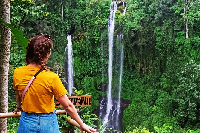 North Bali: Sekumpul Waterfalls and Ulun Danu Temple Tour - The main drawbacks to consider