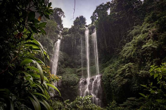 North Bali Tour: Banyumala Waterfall & Wanagiri Hidden Hills - Five things to know before booking