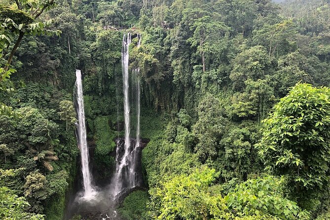North Bali Tour: Banyumala Waterfall & Wanagiri Hidden Hills - Why North Bali makes a worthwhile day trip from Ubud
