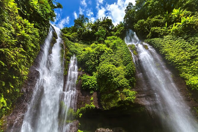 North Bali Tour: Banyumala Waterfall & Wanagiri Hidden Hills - The Bayan Ancient Tree offers a short, unusual pause