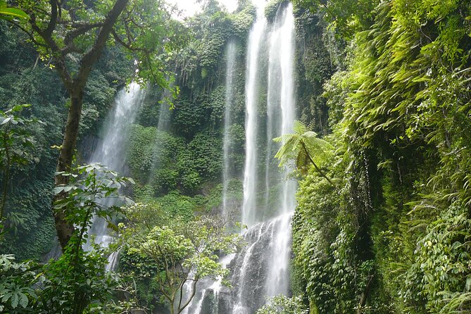 North Bali Tour: Banyumala Waterfall & Wanagiri Hidden Hills - Banyumala Twin Waterfalls requires sturdy shoes