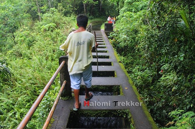 North Lombok Waterfalls - Tiu Kelep and the forest walk