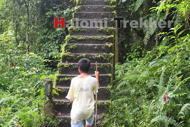 North Lombok Waterfalls - What the $13.85 price really includes