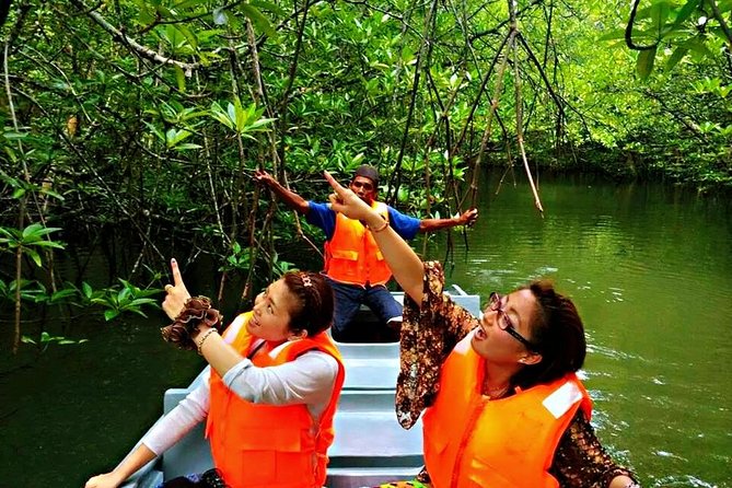 Northern Bintan Full Day Tour - Why this tour is a useful change from resort time