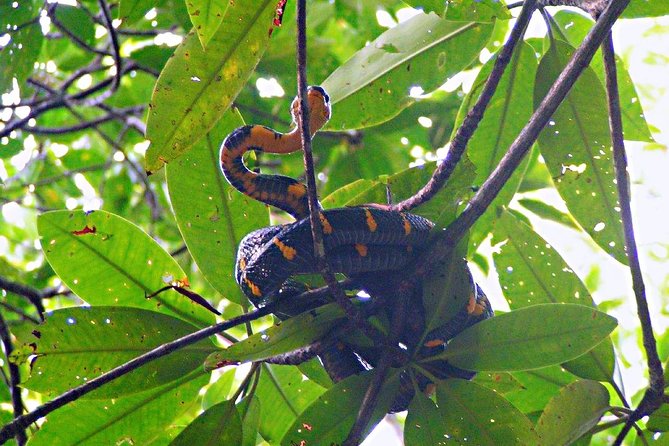 Northern Bintan Full Day Tour - Safari Lagoi and Eco Farm around 11:00am
