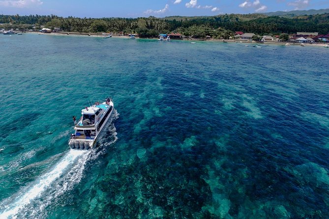 Nusa Lembongan Island: Snorkeling & Mangrove Forest Day Tour - Rooftop lunch with an ocean view