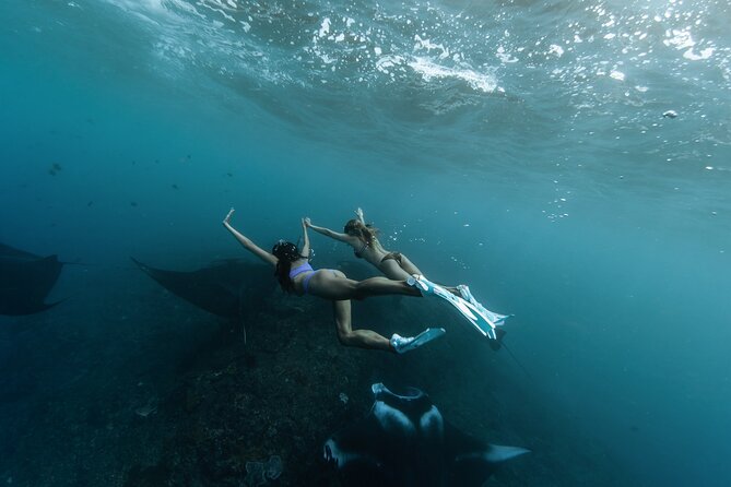 ️Nusa Penida by Private Boat - Snorkeling 4 spots, Swim with Mantas + Land Tour - Key points at a glance