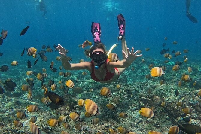 ️Nusa Penida by Private Boat - Snorkeling 4 spots, Swim with Mantas + Land Tour - A long day that links Bali’s best island hits
