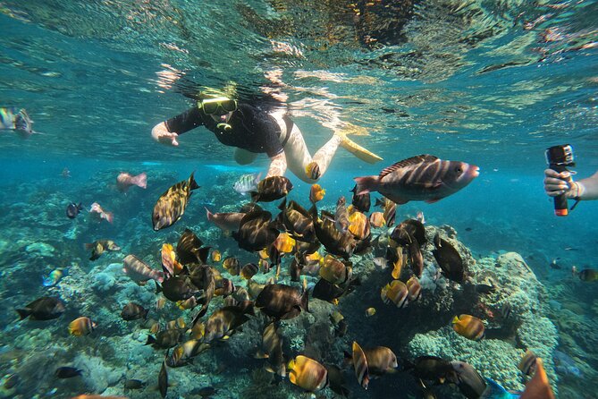 Nusa-Penida customize Tour - All inclusive - Lunch, local food, and realistic expectations