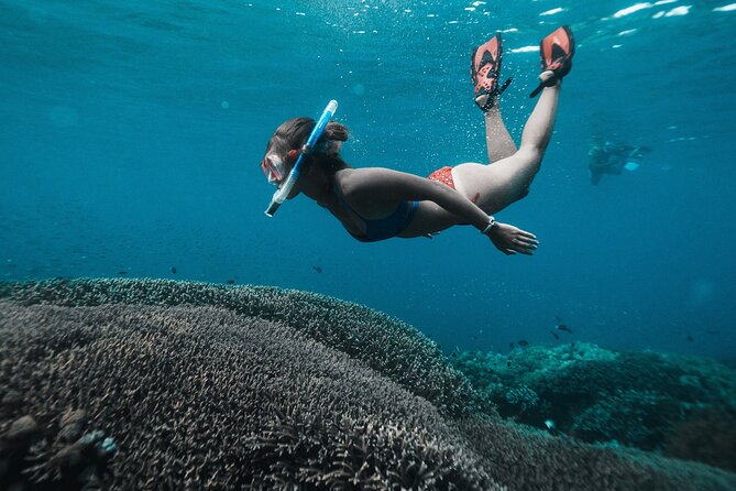 Nusa Penida day trip: boat, 4 snorkeling, Manta rays & Land tour - Why this Nusa Penida day trip works for a short Bali stay