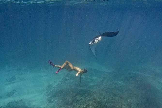 Nusa Penida day trip: boat, 4 snorkeling, Manta rays & Land tour - Mangrove Point: an easy start with drift snorkeling