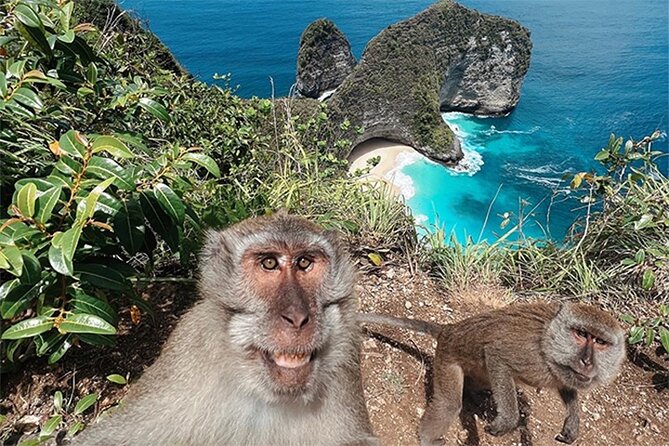 Nusa Penida day trip: boat, 4 snorkeling, Manta rays & Land tour - Lunch beside an infinity pool