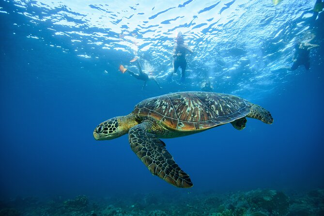 Nusa Penida day trip: boat, 4 snorkeling, Manta rays & Land tour - Manta Point or Manta Bay