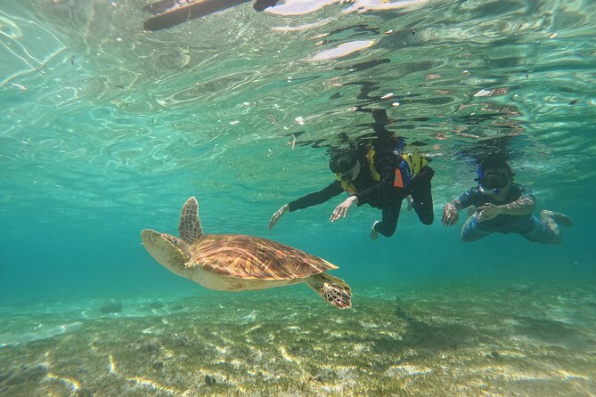 Nusa Penida & Gili Trawangan 3Days 2Night (Snorkeling) - Coral, fish, turtles, and the Gili Meno statue