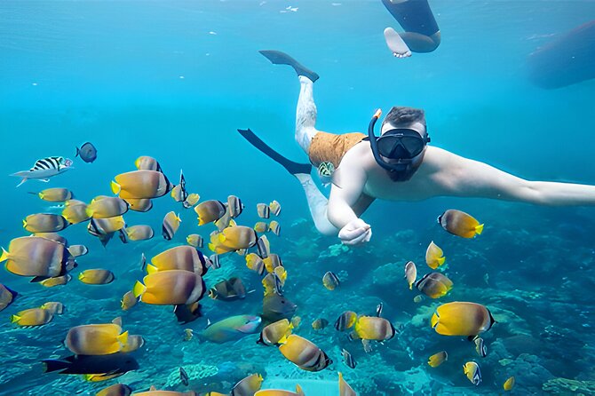 Nusa Penida Island Beach Tour With Snorkeling - Departure From Bali Island - What the $120 Price Really Covers