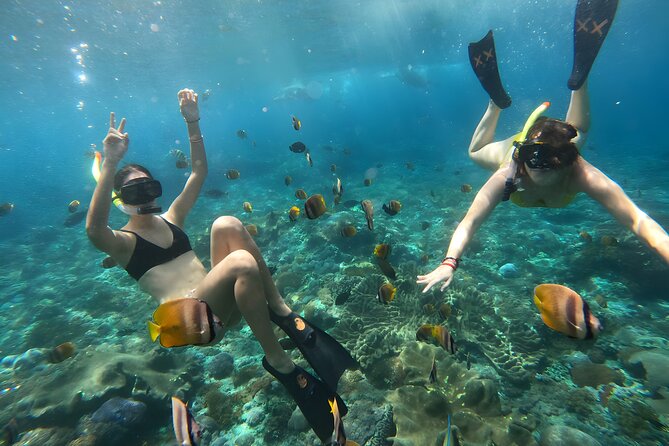 Nusa Penida Island Beach Tours with Snorkeling From Bali - What the $137.75 price really covers