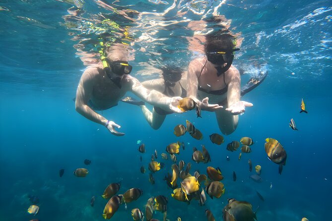 Nusa Penida Island Beach Tours with Snorkeling From Bali - Gamat Bay: a quieter first snorkeling stop