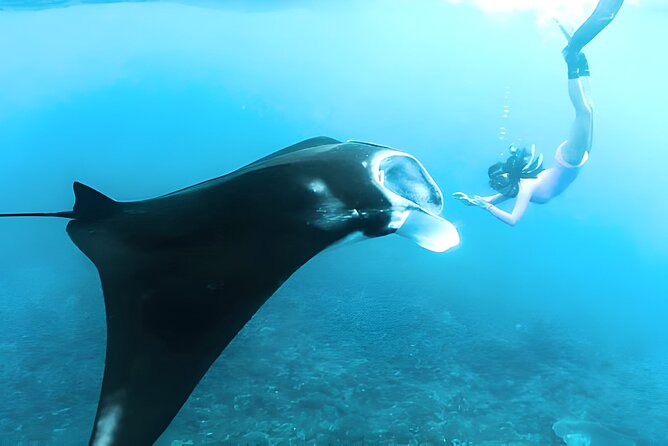 Nusa Penida Island Beach Tours with Snorkeling From Bali - The early transfer and shared speedboat