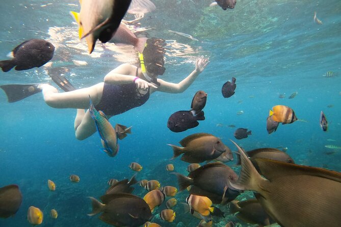 Nusa Penida Land Tour and 4 Points Snorkeling with Manta - Angel Billabong at 3:00 pm