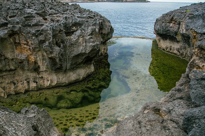Nusa Penida One Day Trip to Instagrammable Spot by Penidago - Kelingking Beach, the big opening view