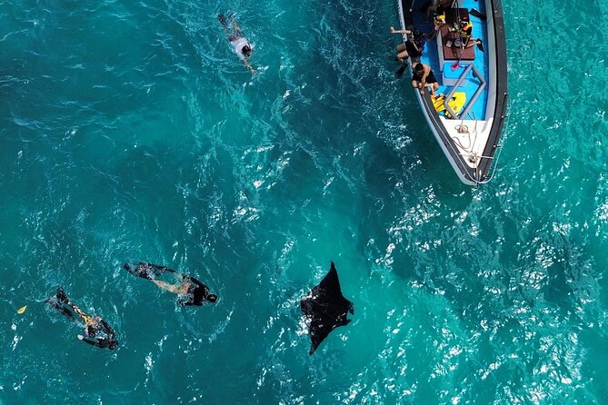 Nusa Penida Private Snorkeling and West Tour Start from Bali - Why This Nusa Penida Day Trip Works