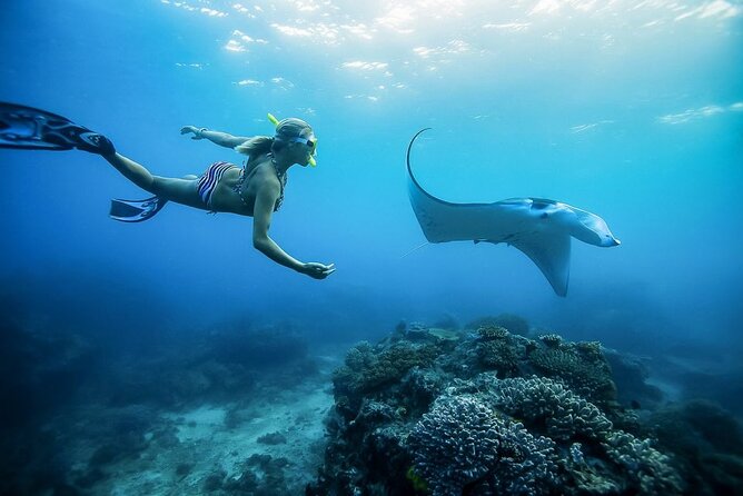 Nusa Penida Private Snorkeling and West Tour Start from Bali - Snorkeling Manta Bay, Crystal Bay, and Gamat Bay