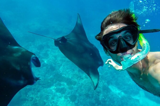 Nusa Penida Snorkeling 3 Point with Manta Bay & Land Tour - Three snorkeling stops around Nusa Penida