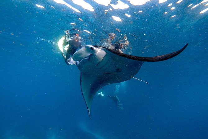Nusa Penida Snorkeling Adventure (Private & All-Inclusive) - Crystal Bay and possible changes